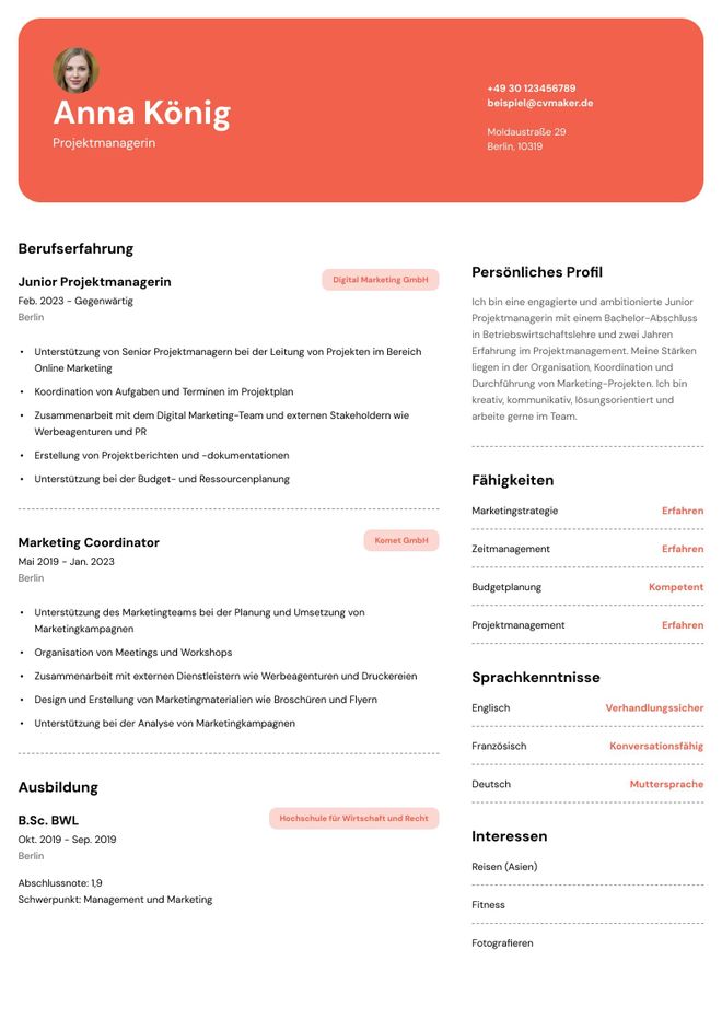 Lebenslauf Projektmanager Beispiel