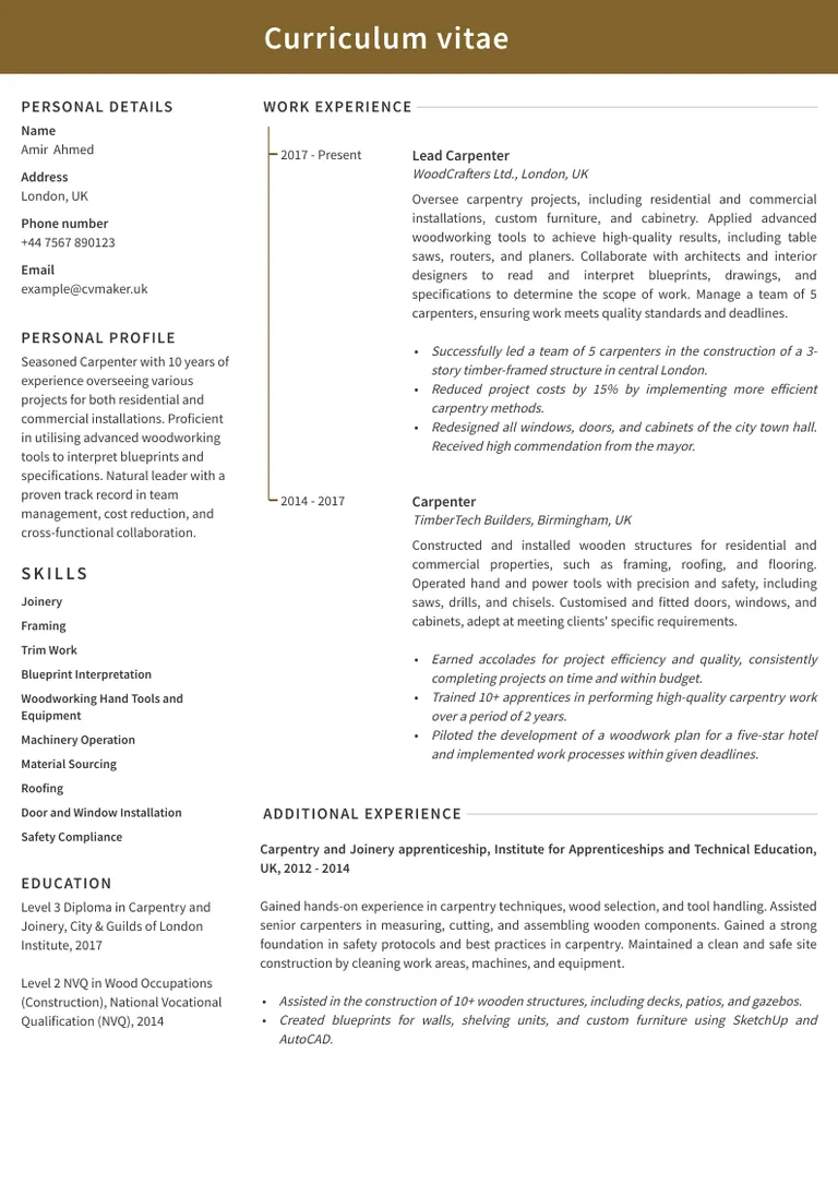 Carpenter CV example