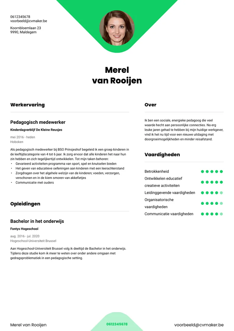 Voorbeeld van een vaardigheden-cv