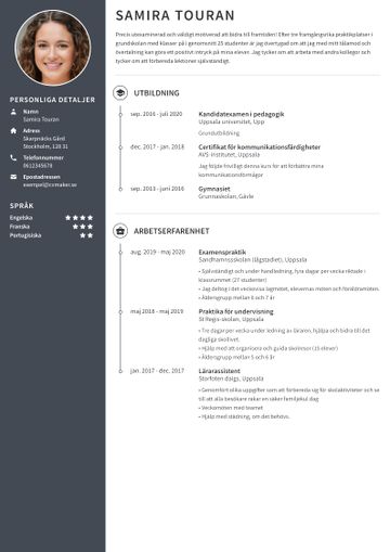 exempel CV harvard brun