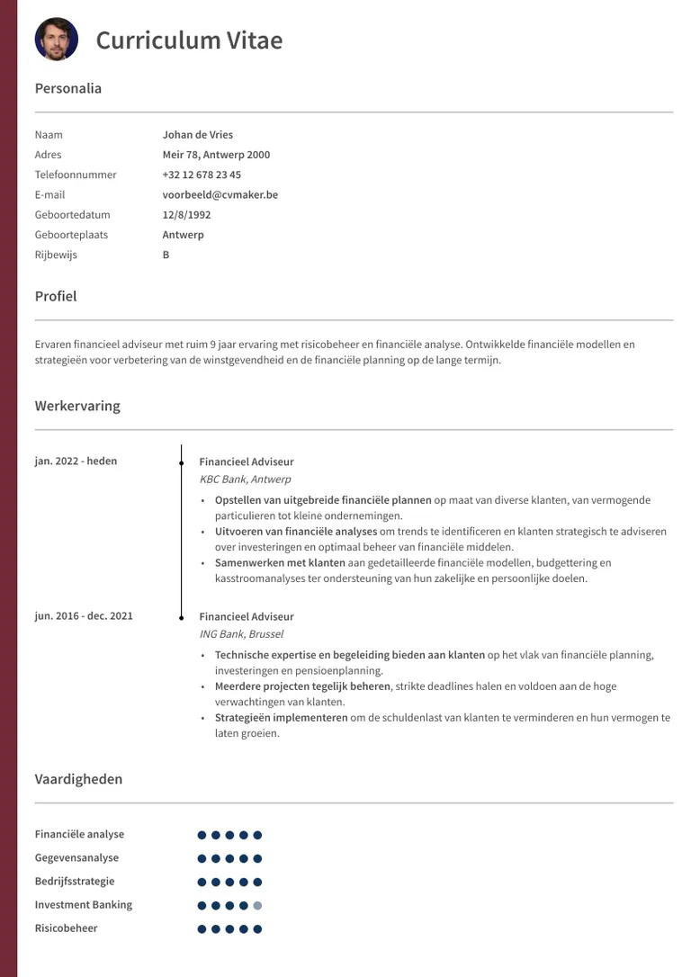 Oxford cv template voor een simpel cv