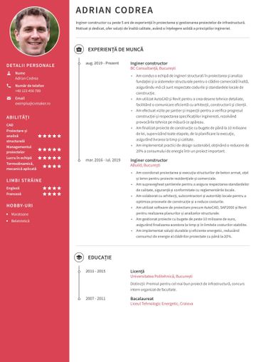 CV inginer constructor
