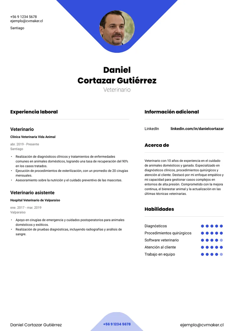 curriculum vitae médico veterinario
