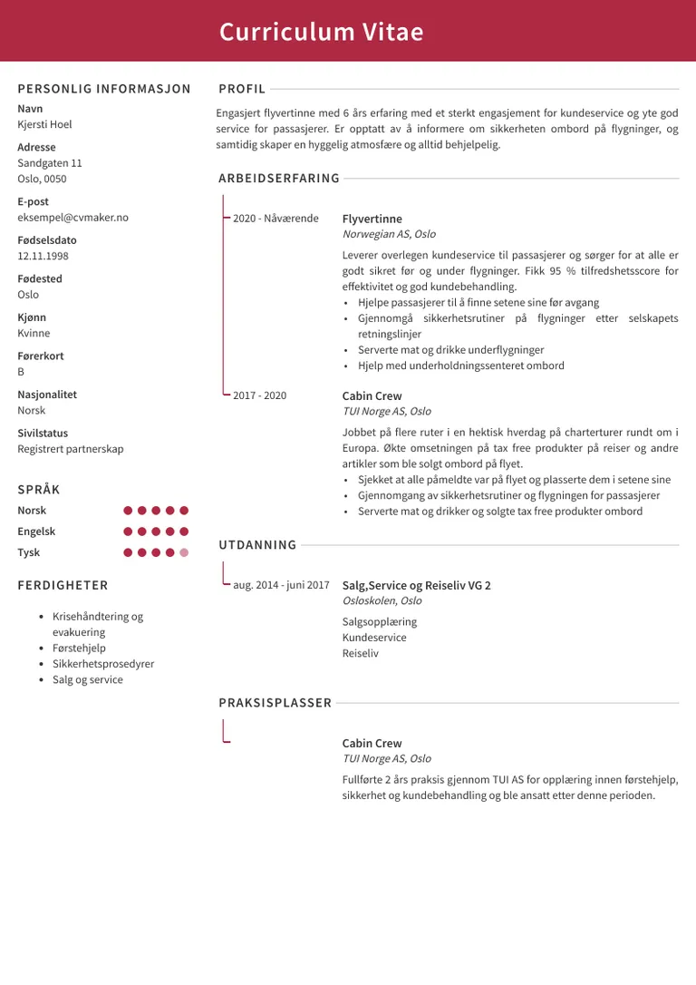 Eksempel på flyvertinne CV