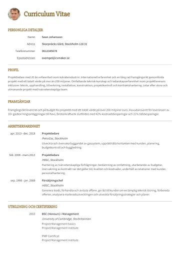 exempel CV princeton gul