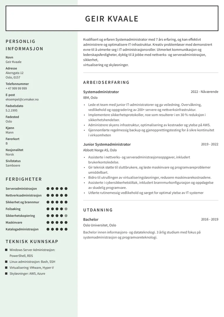 IT CV eksempel