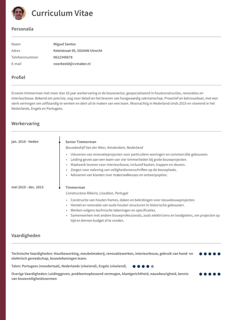 CV Voorbeeld Timmerman