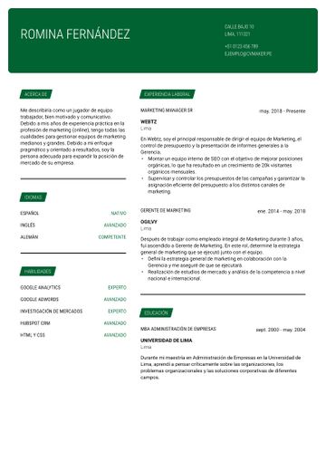CV de gerente de marketing