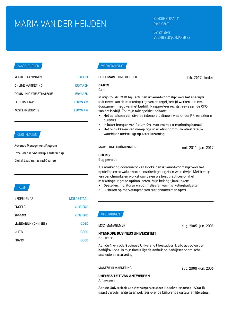 marketing manager voorbeeld cv