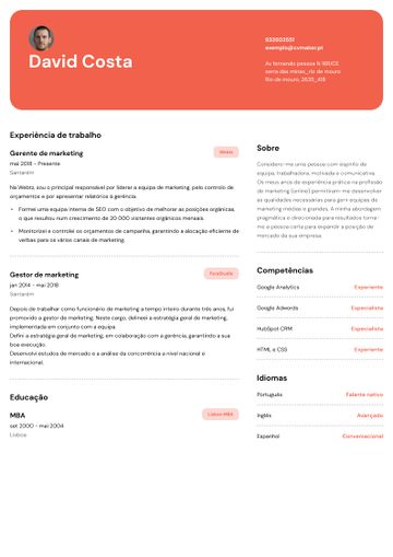 Exemplo CV erasmus vermelho
