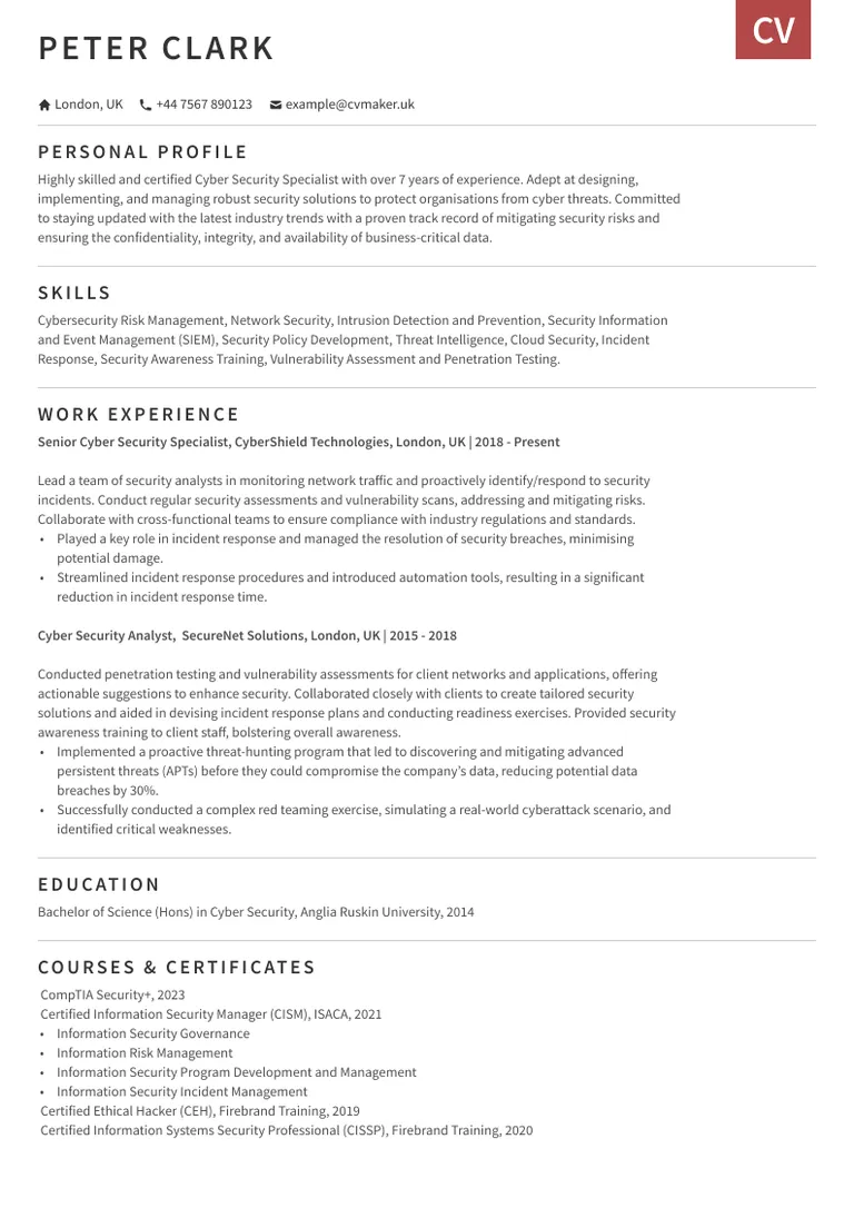 Cyber Security CV example