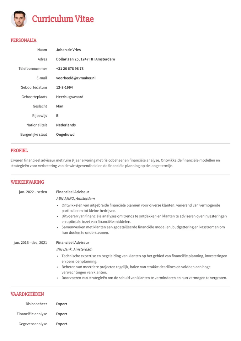 cv template voor een simpel cv