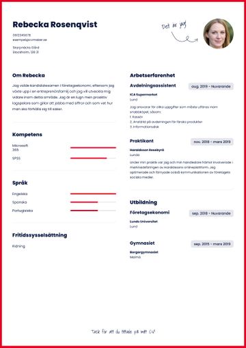 exempel CV michigan röd