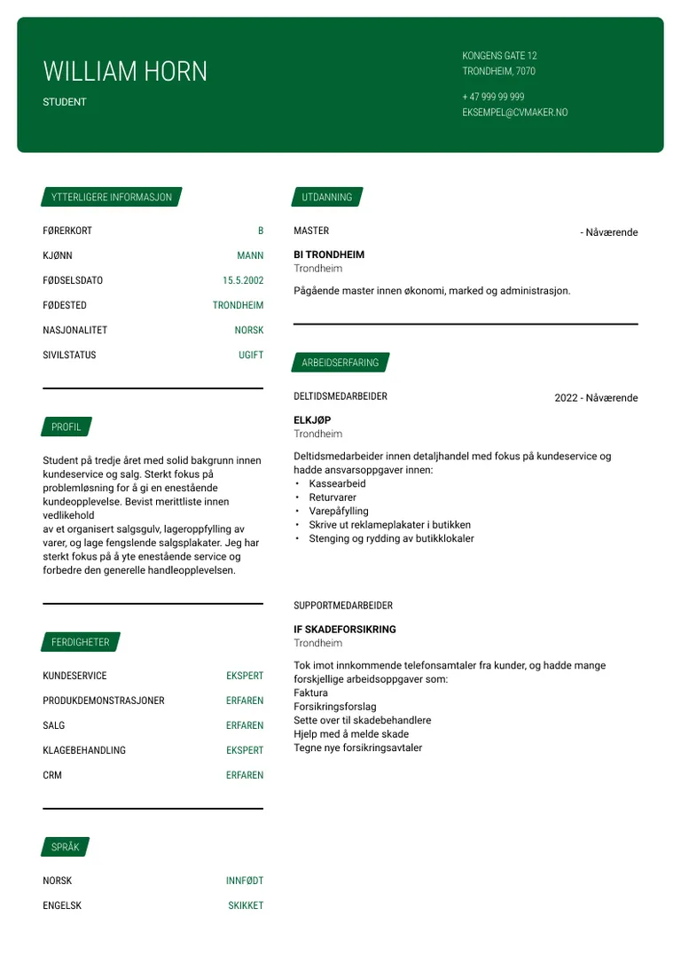 Deltidsjobb CV Eksempel