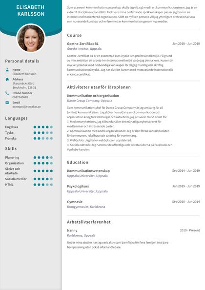 Professionellt CV-exempel