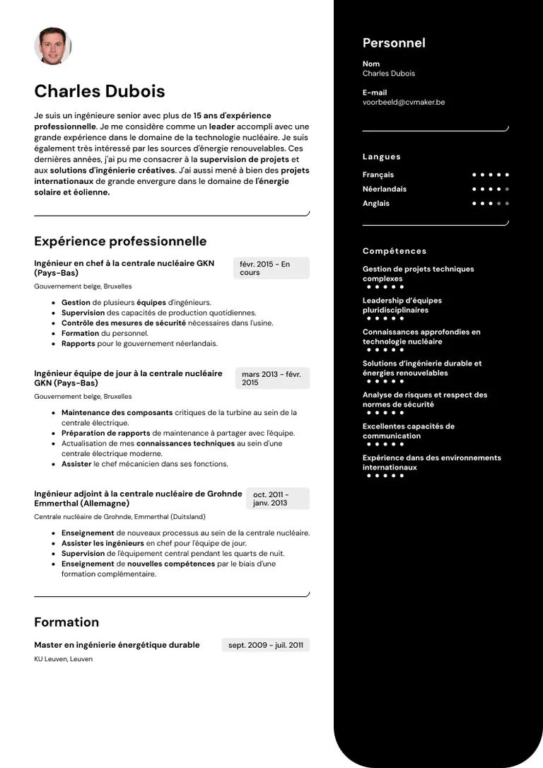 frans cv-voorbeeld
