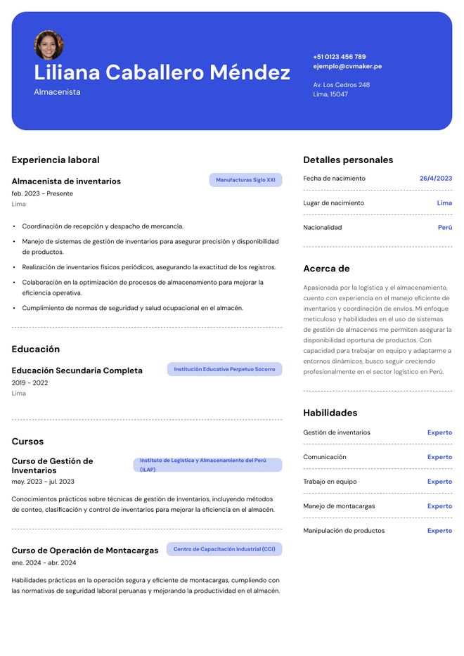 curriculum vitae almacenista ejemplo