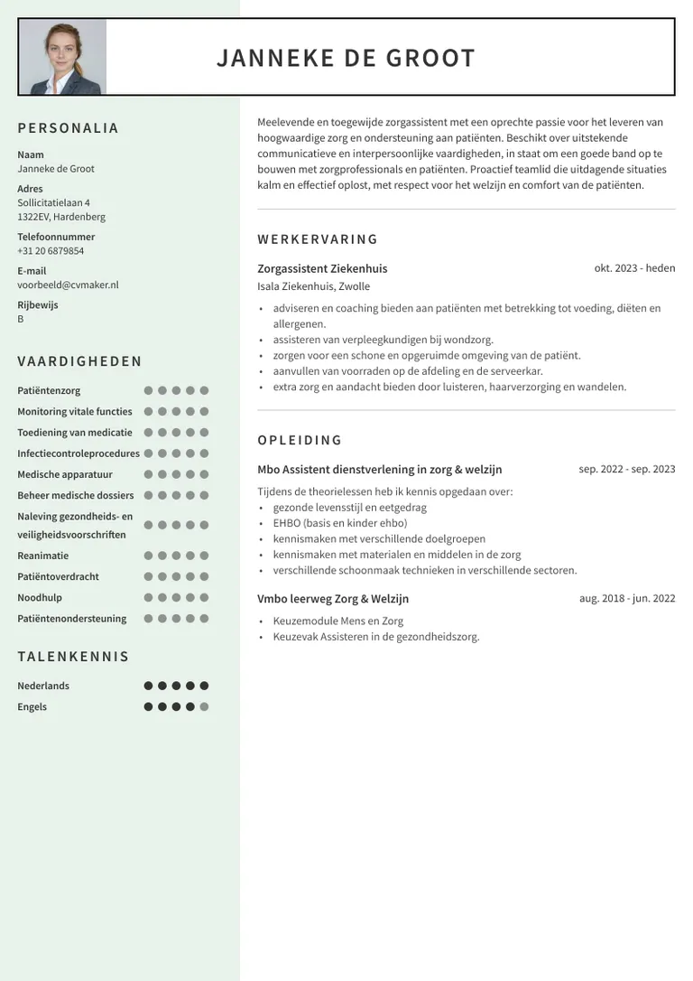 Cv zorg - Voorbeeld
