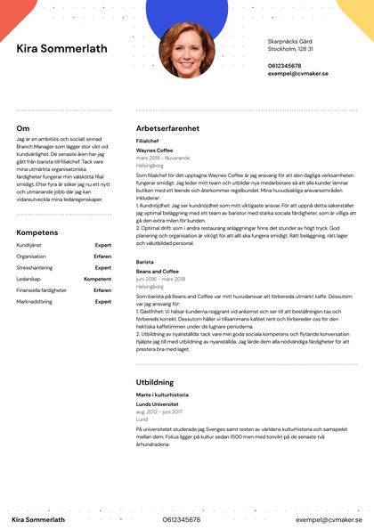 exempel CV-hopkins