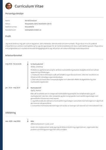 exempel CV oxford lila