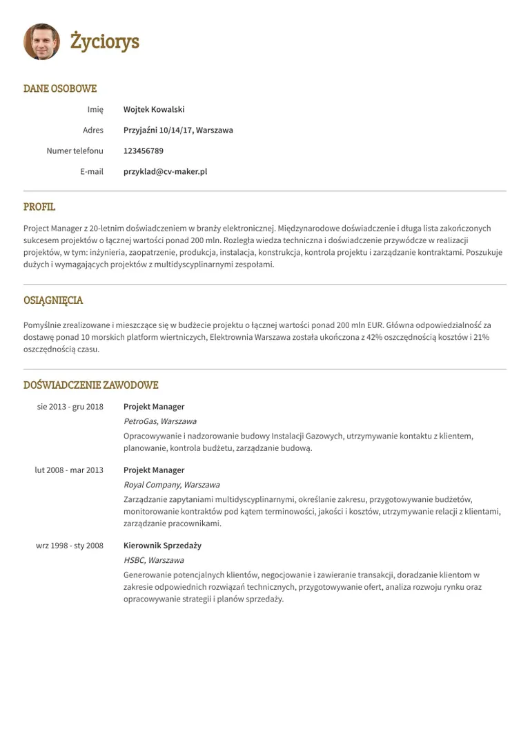 przyklad  CV project  manager