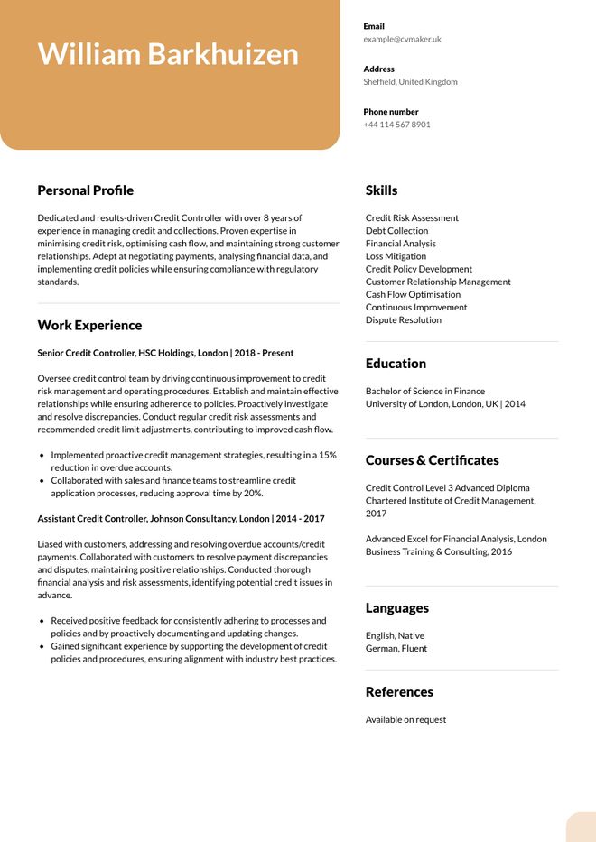 Credit Controller CV sample