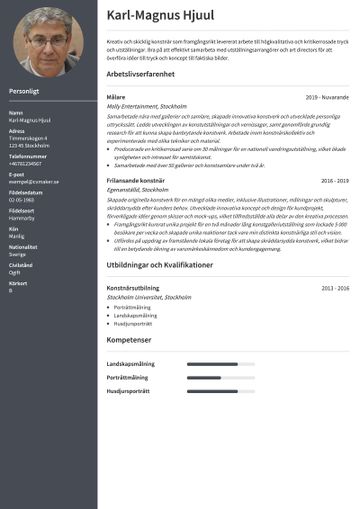 Konstnärs-CV Exempel