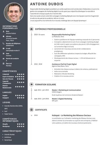 CV exemple harvard marron