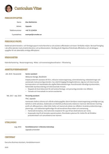 Exempel på enkelt CV