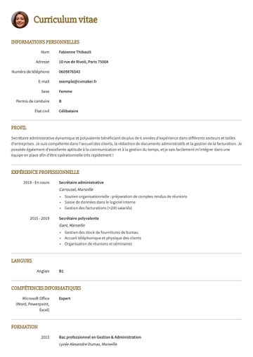 CV exemple princeton jaune