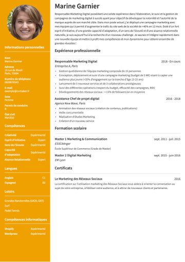 CV exemple stanford jaune