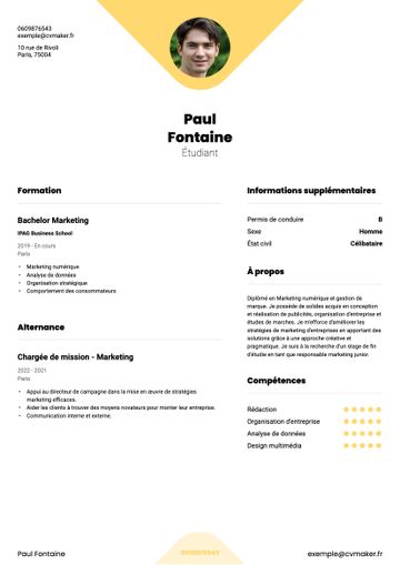 CV exemple yale jaune