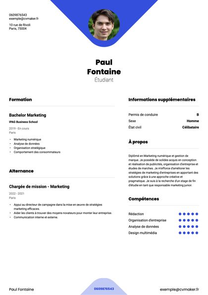 Exemple de CV moderne