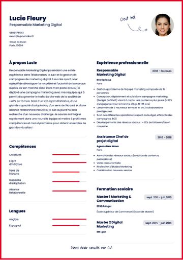CV exemple michigan rouge