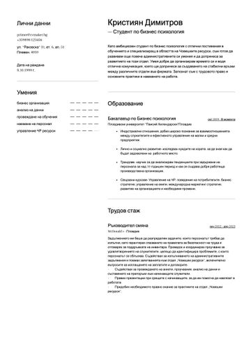CV шаблон toronto