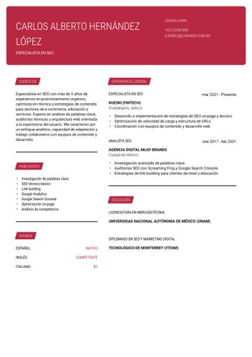 cv ejemplo SEO