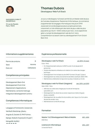 CV exemple wheaton vert