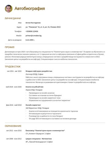CV шаблон princeton жълто