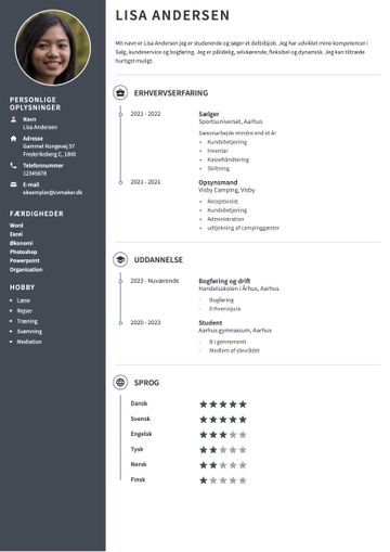 CV-skabelon harvard brun