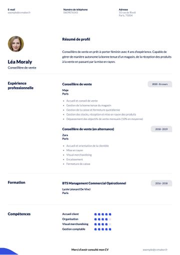CV exemple duke bleu