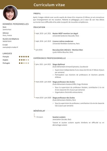 CV exemple cambridge marron