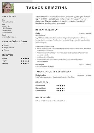 Eladói önéletrajzminta