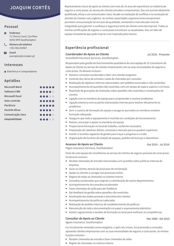 Exemplo de CV – Apoio ao Cliente