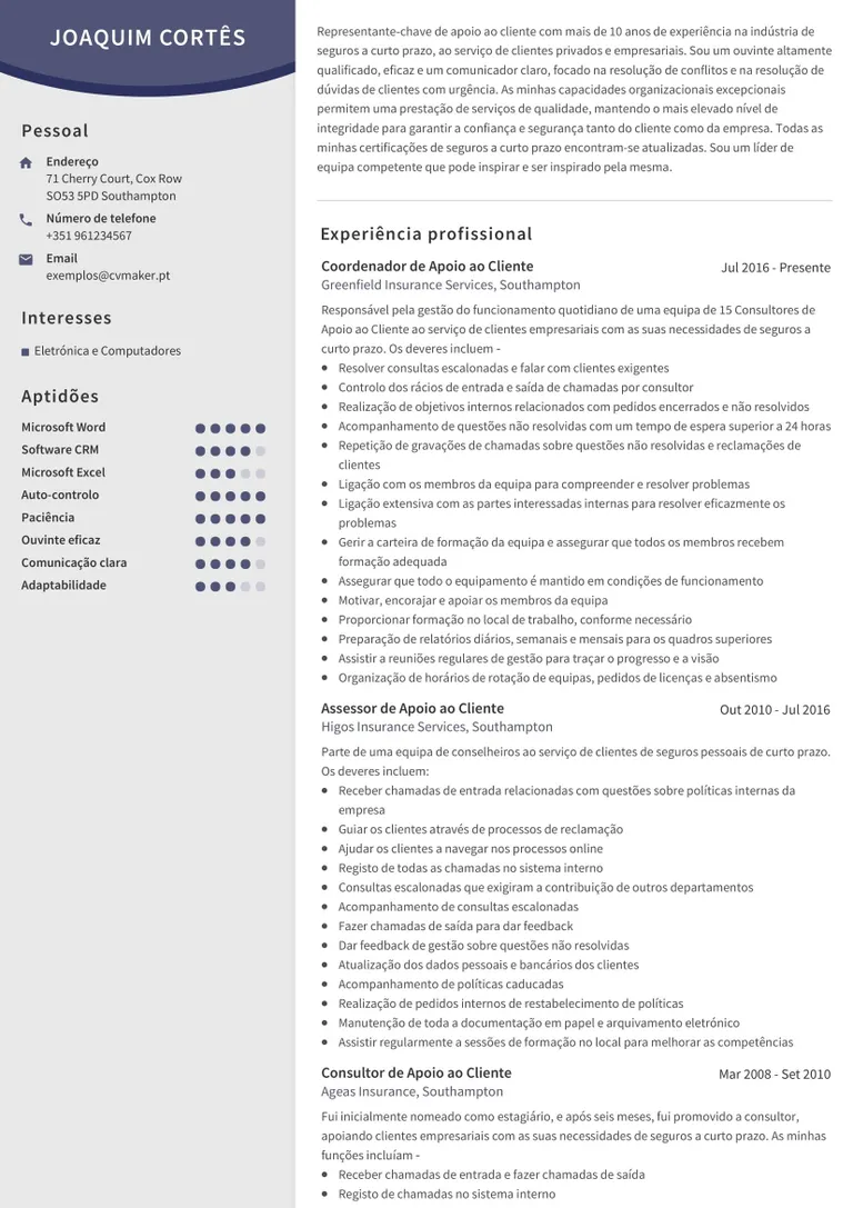 Exemplo de CV – Apoio ao Cliente
