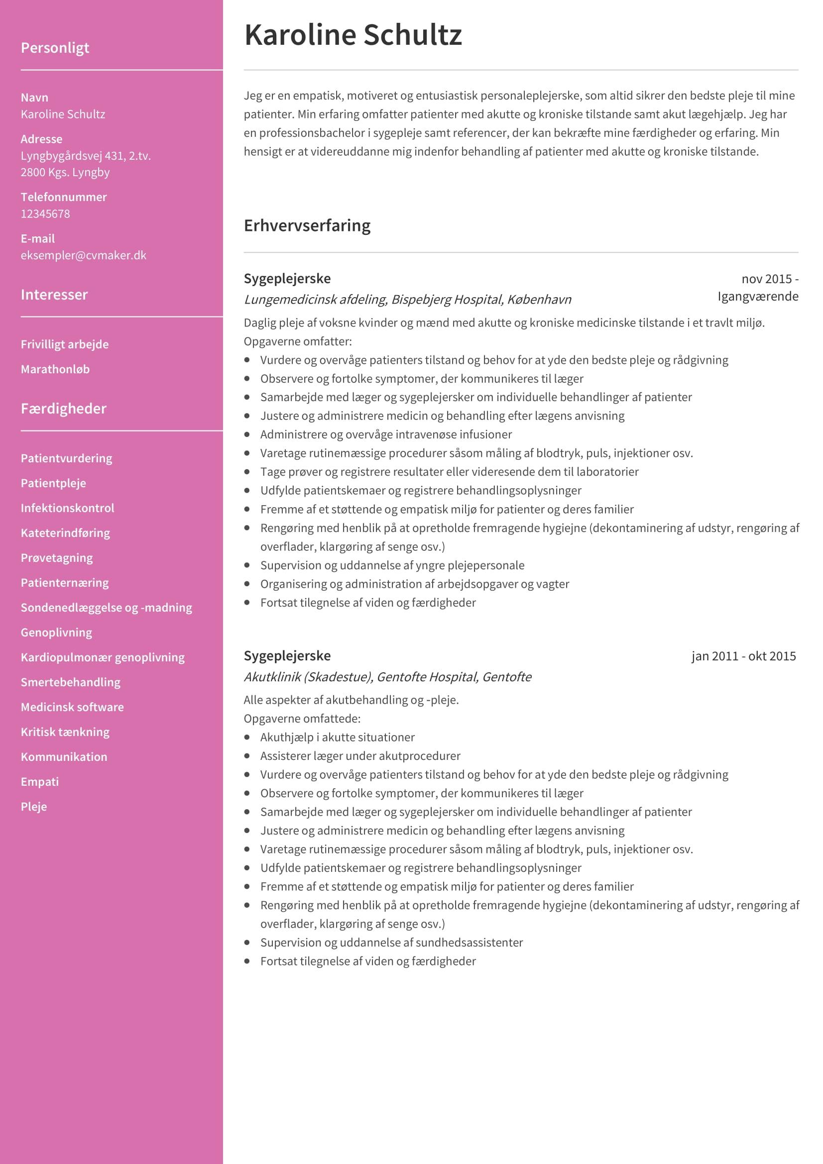 CV eksempel - Erhvervserfaring på dit CV