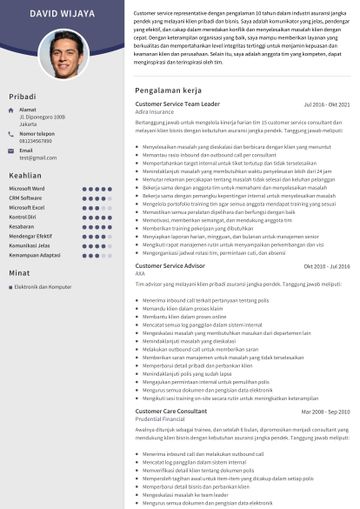 CV customer service