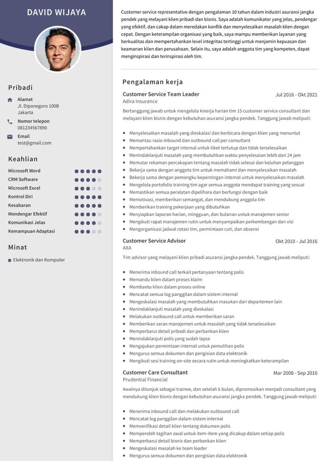 CV customer service