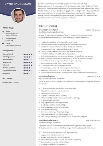 Exempel på kundtjänst-CV