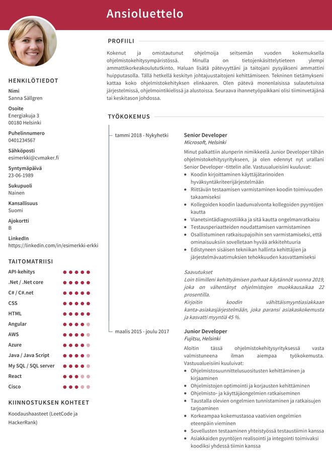 ohjelmoijan CV