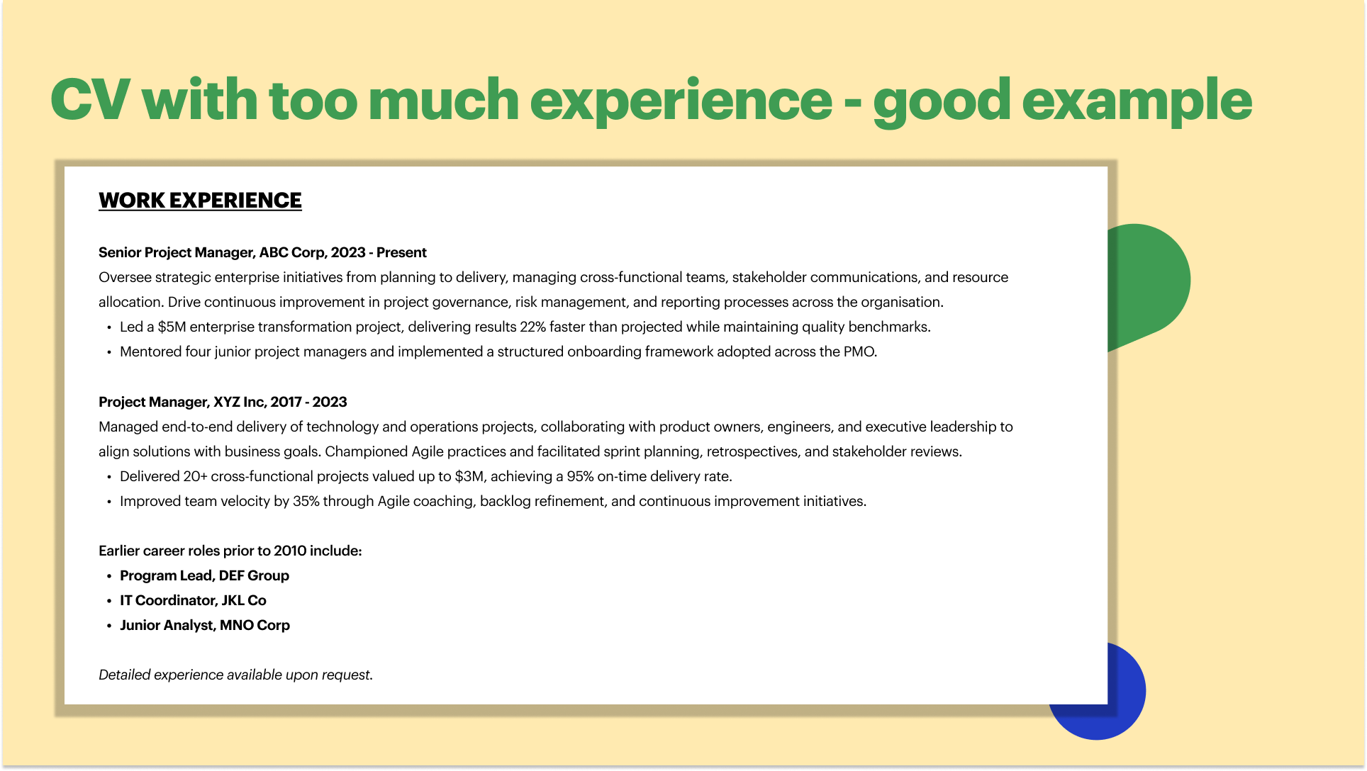 CV with too much experience good example